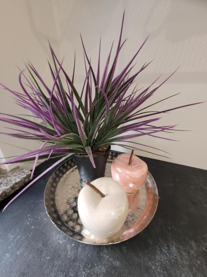 Apartament Harizma Primošten Zewnętrze zdjęcie