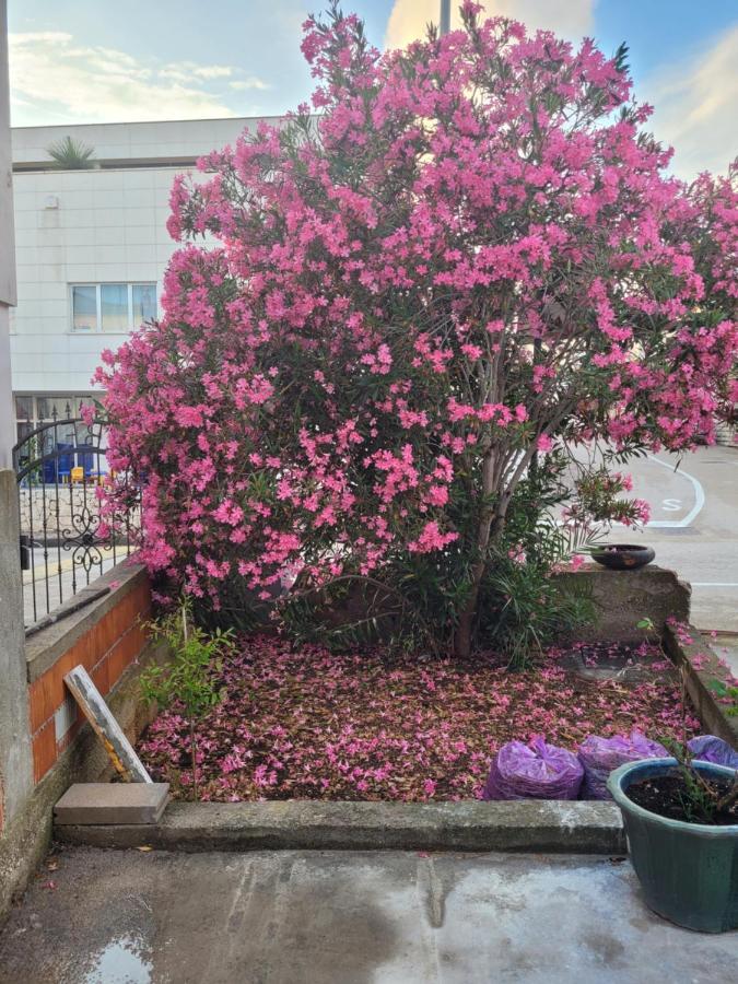 Apartament Harizma Primošten Zewnętrze zdjęcie